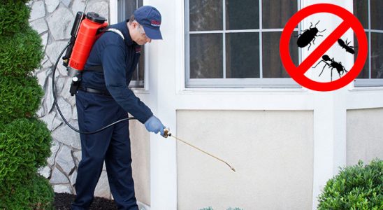 Yeniçağa Karınca İlaçlama böcek ilaçlama ve haşere kontrolü — ilaclama-tr.com
